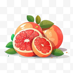 扁平卡通手绘水果西柚红橙橙子