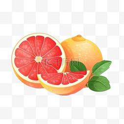 扁平水果卡通手绘纱柚红橙