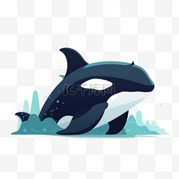 鲸鱼虎鲸海洋生物免扣素材手绘