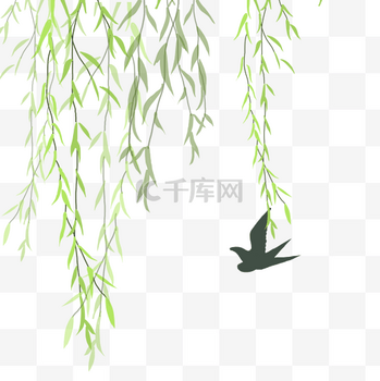 柳树绿色柳条新柳燕子春二月三月春天