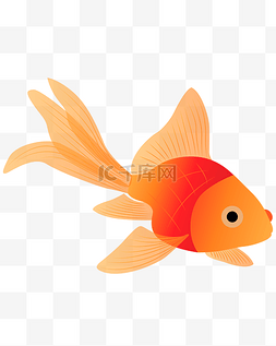 红鲤鱼图片_矢量手绘红卡通观赏鱼