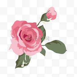 玫瑰花的图片_卡通盛开的粉色玫瑰花免抠图
