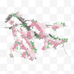 手绘桃花花枝图片_手绘花枝PNG素材