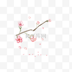 手绘樱花图片_手绘水彩樱花花瓣