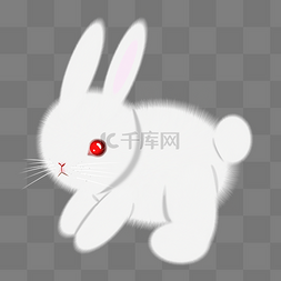 小兔子毛绒绒图片_手绘仿真动物白色兔子PNG图案