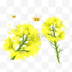 油菜花与蜜蜂手绘风格矢量免抠图