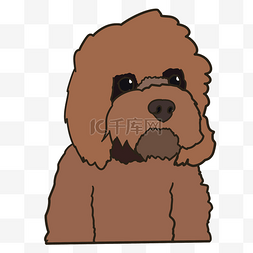 可爱狗狗泰迪手绘插画