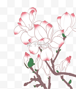 花，粉色，手绘花图片_粉色手绘花叶子花朵插画树枝花朵