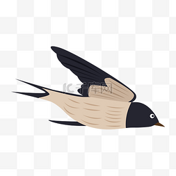 手绘飞翔的燕子插画