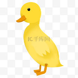 黄色的小鸭子图片_黄色的小鸭子手绘插画