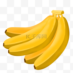 水果果实香蕉