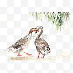 柳树水彩图片_亲密的鹅水彩画PNG免抠素材