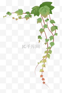 插画绿色图片_绿色花藤植物插画