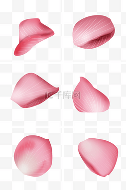 情人节手绘玫瑰花瓣