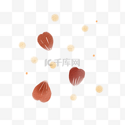 飘零美丽玫瑰花png