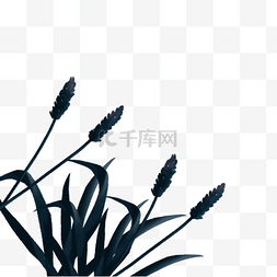 黑色的植物免抠图
