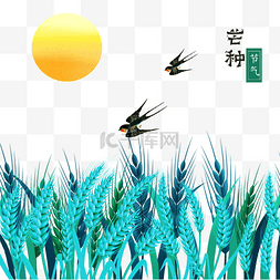 芒种稻谷燕子插画