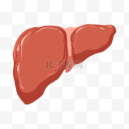 手绘医疗器官主题肝脏卡通插画