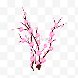 粉色梅花树图片_粉色梅花枝