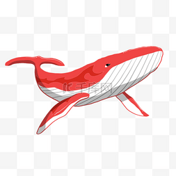 手绘鲸鱼插画素材图片_手绘红色鲸鱼插画