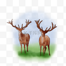 长角鹿图片_手绘水彩两头长角的鹿