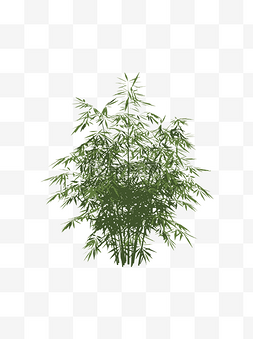 扁平简约手绘风绿色植物竹子竹林