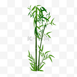 中国风竹子绿色竹子