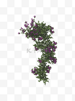 简约扁平卡通花草紫薇花植物元素