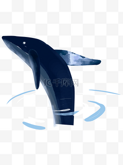 可爱卡通动物跃出水面的鲸鱼