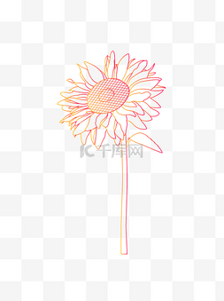 植物花卉图片_矢量渐变手绘植物花卉向日葵线稿