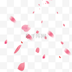花瓣红色图片_粉红色花瓣装饰元素