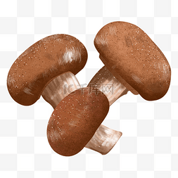 手绘香菇图片_咖啡色小蘑菇野生蘑菇菌类食材食