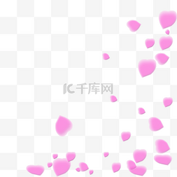 紫色花瓣漂浮图片_飞舞的浪漫花瓣雨