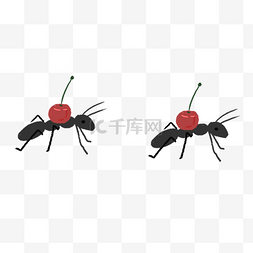 二个小蚂蚁免抠图