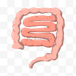 人体器官肠道插画
