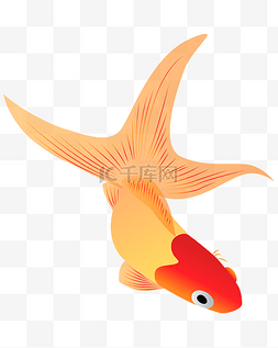 矢量手绘红色的鱼