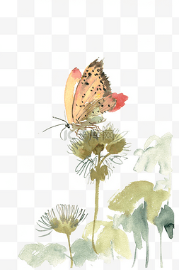 黄色的蝴蝶图片_植物上的蝴蝶水彩画PNG免抠素材