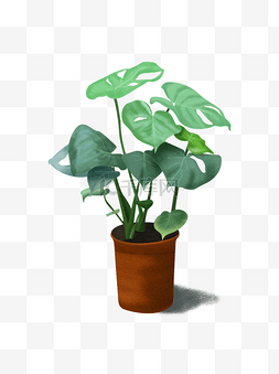 手绘植物设计插画图片_手绘噪点插画绿色盆栽植物龟背竹