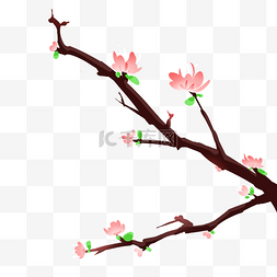 春天图片_粉色春天的花枝插画