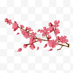 春季漂亮的樱花插画