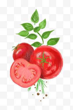 蔬果主题之西红柿插画