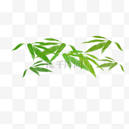 绿色植物竹子树叶元素