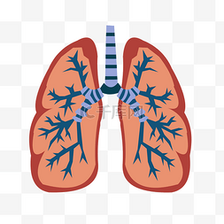 手绘扁平人体器官肺矢量免抠素材
