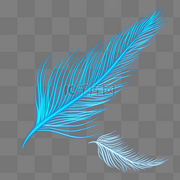 羽毛蓝色荧光羽毛