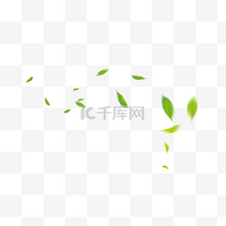 树叶漂浮素材图片_绿色漂浮叶子装饰元素