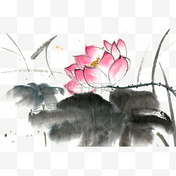 芙蓉王烟盒图片_荷花水墨画PNG免抠素材