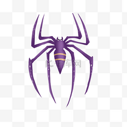 紫色黄纹长腿蜘蛛