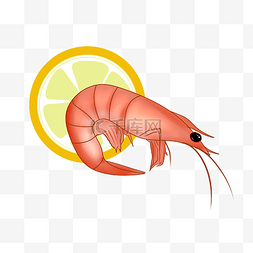 烧烤基围虾图片_红色的基围虾插画