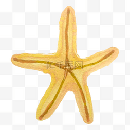 五角星流程图片_卡通手绘黄色五角海星免抠图