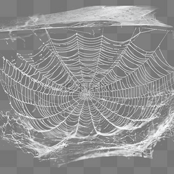蜘蛛网网子蜘蛛网元素